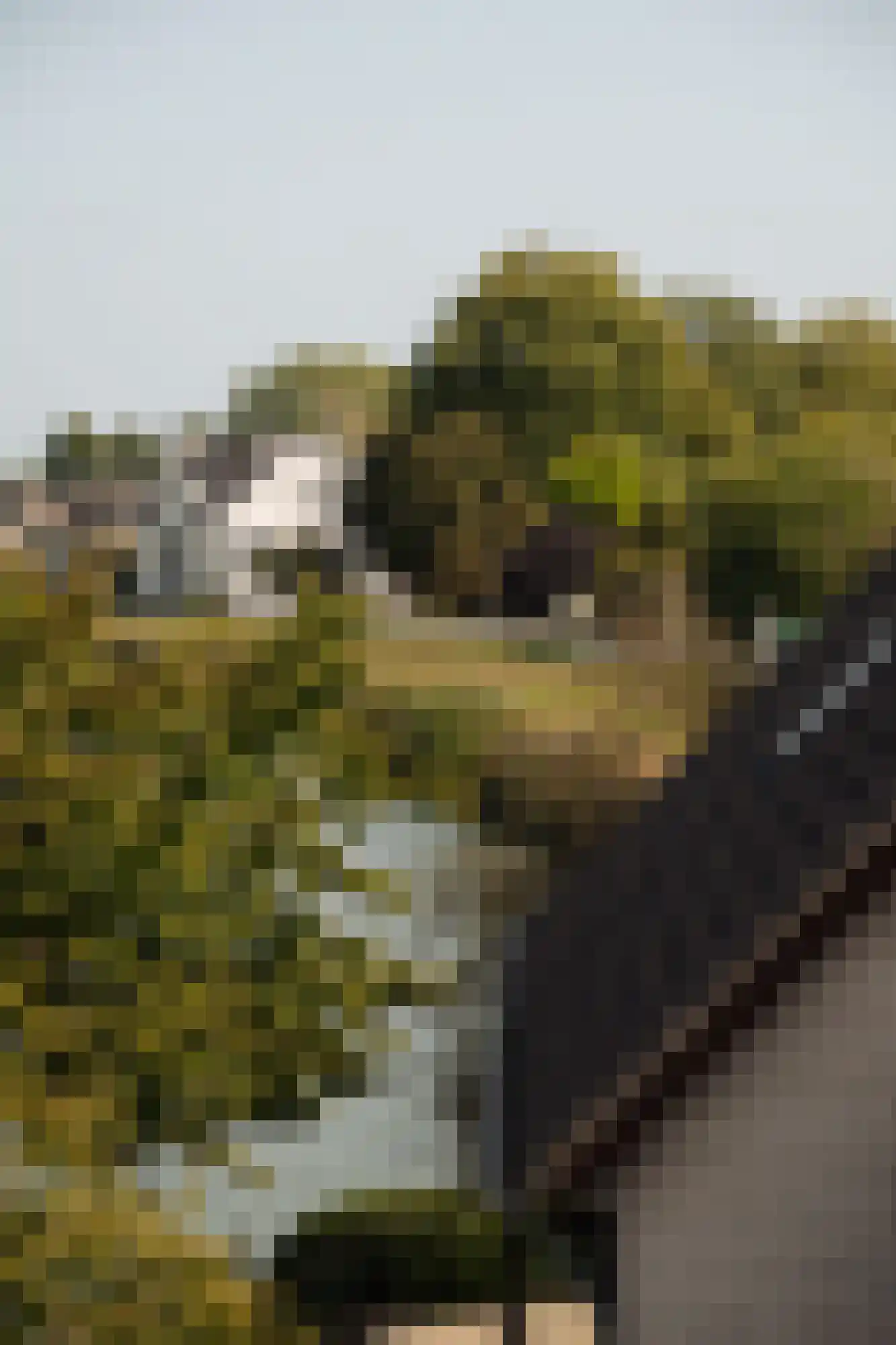 IJsseldijk 135 Krimpen aan den IJssel thumbnail 49