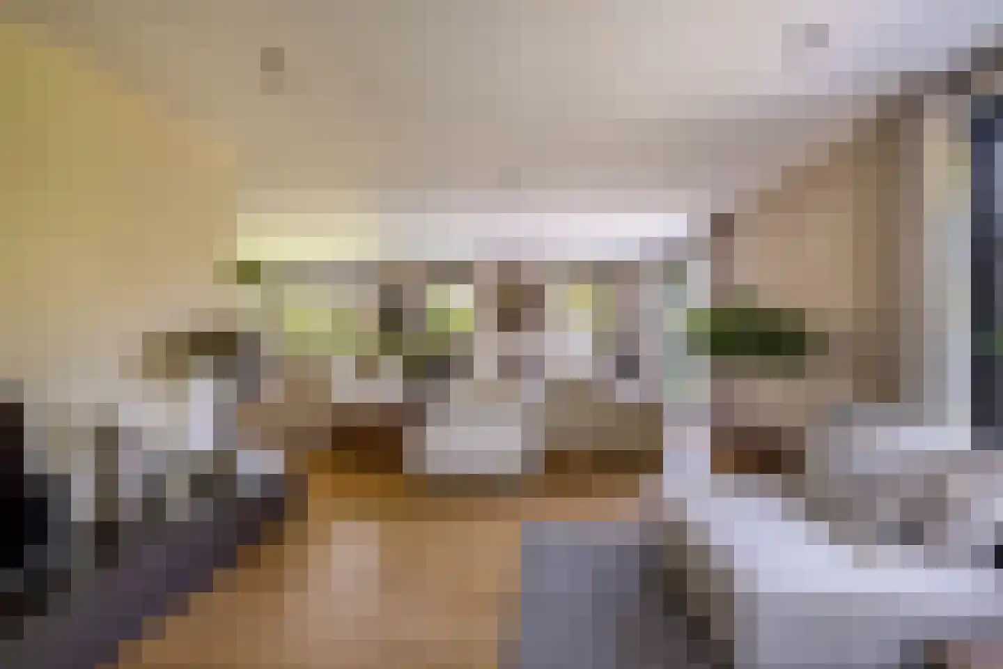 IJsseldijk 192 Krimpen aan den IJssel thumbnail 12