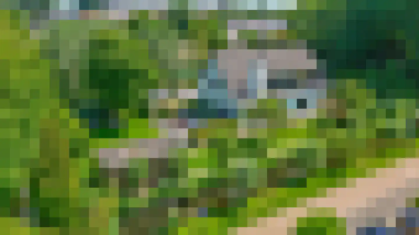 IJsseldijk 192 Krimpen aan den IJssel thumbnail 19