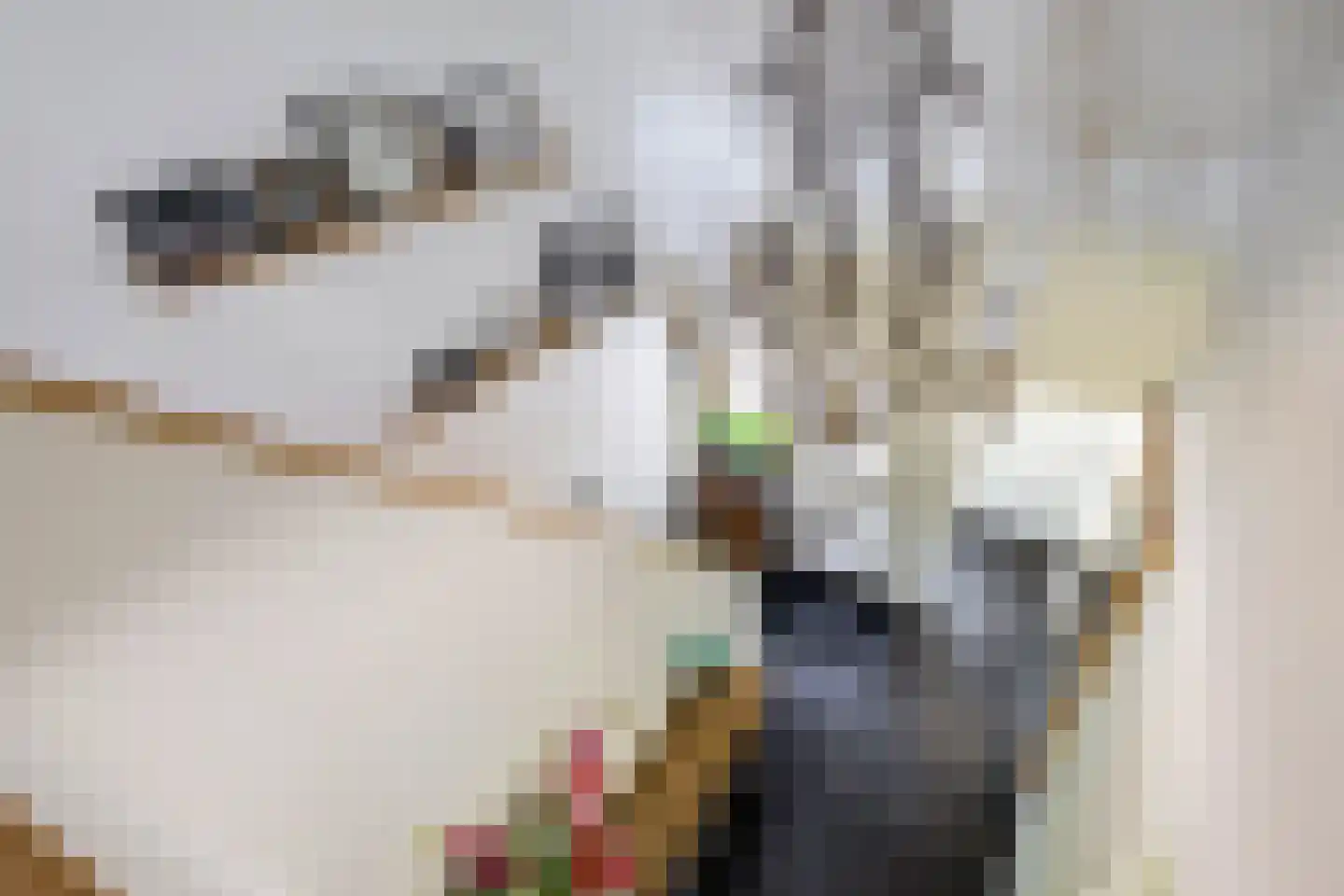 IJsseldijk 192 Krimpen aan den IJssel thumbnail 30