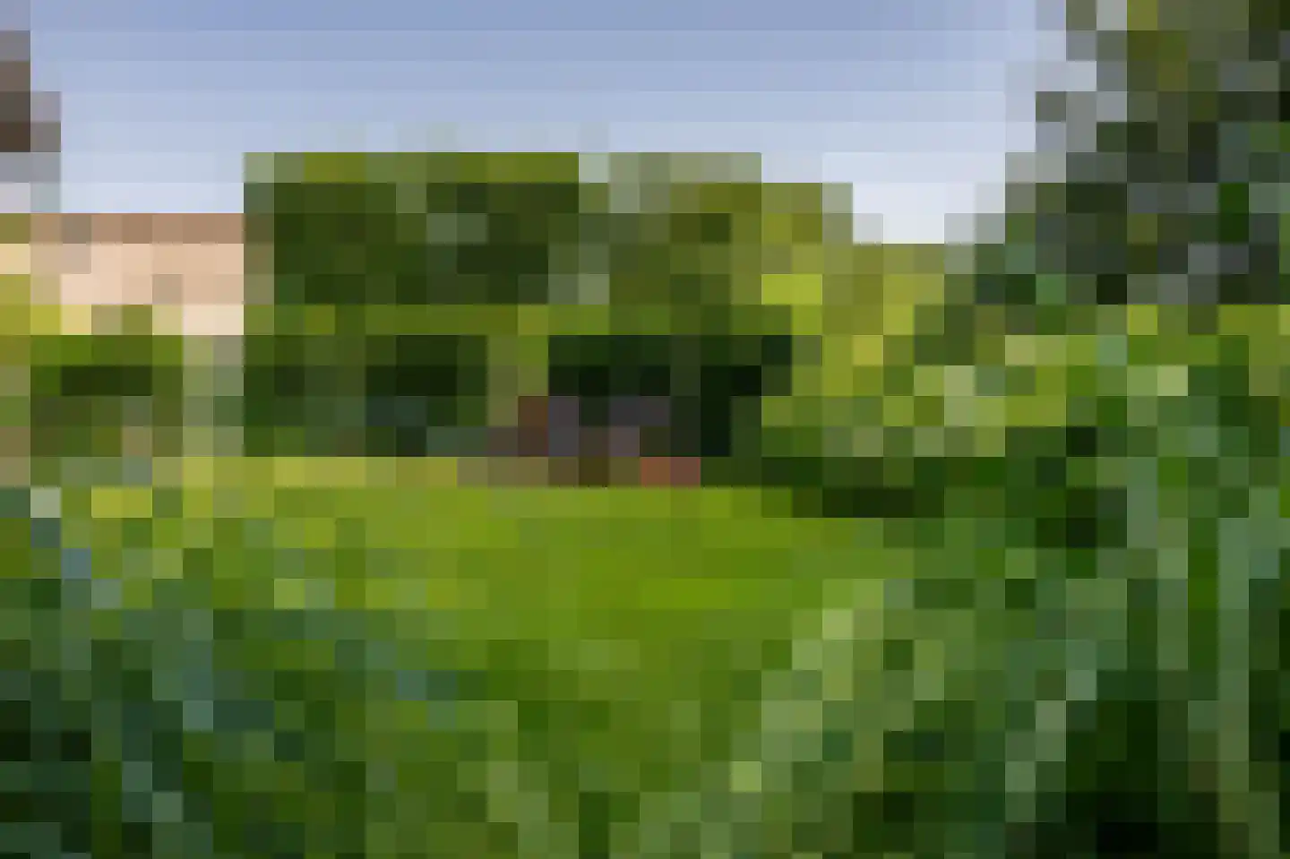 IJsseldijk 192 Krimpen aan den IJssel thumbnail 46