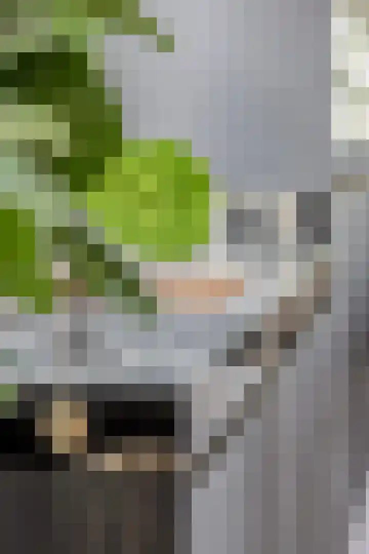 IJsseldijk 208 Krimpen aan den IJssel thumbnail 27