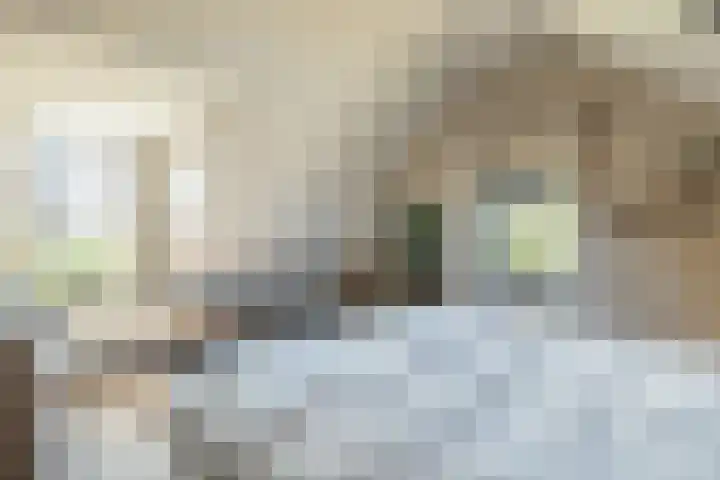 IJsseldijk 208 Krimpen aan den IJssel thumbnail 31
