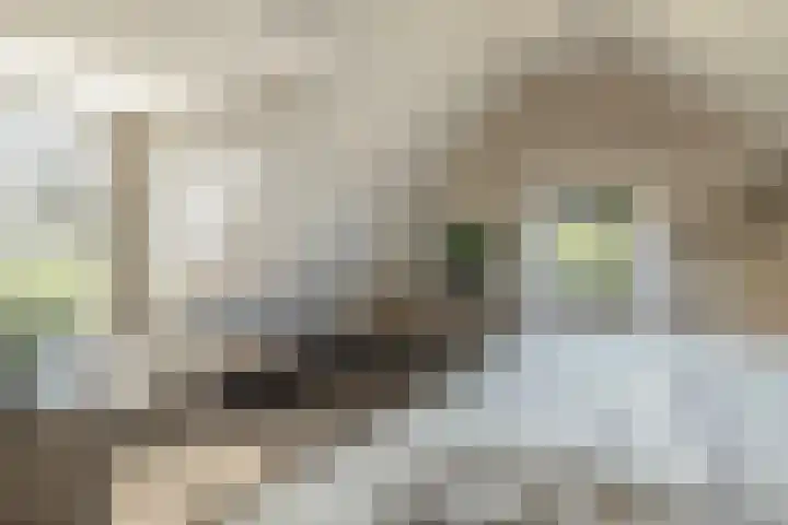 IJsseldijk 208 Krimpen aan den IJssel thumbnail 33