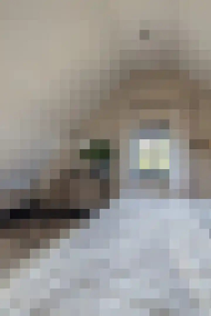 IJsseldijk 208 Krimpen aan den IJssel thumbnail 35