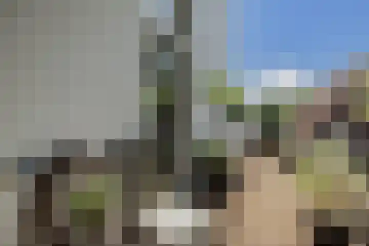 IJsseldijk 208 Krimpen aan den IJssel thumbnail 91