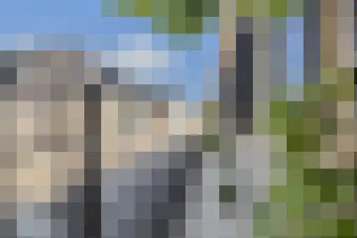IJsseldijk 208 Krimpen aan den IJssel thumbnail 92