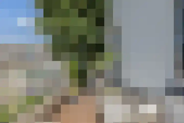 IJsseldijk 208 Krimpen aan den IJssel thumbnail 93