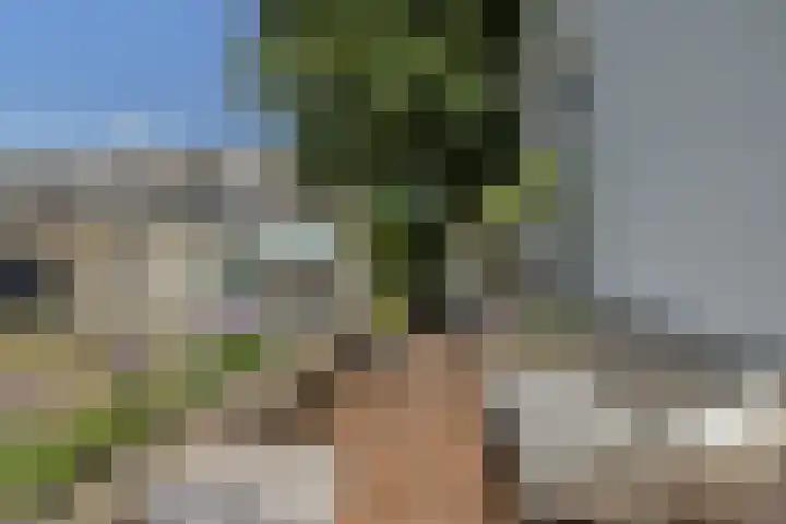 IJsseldijk 208 Krimpen aan den IJssel thumbnail 94