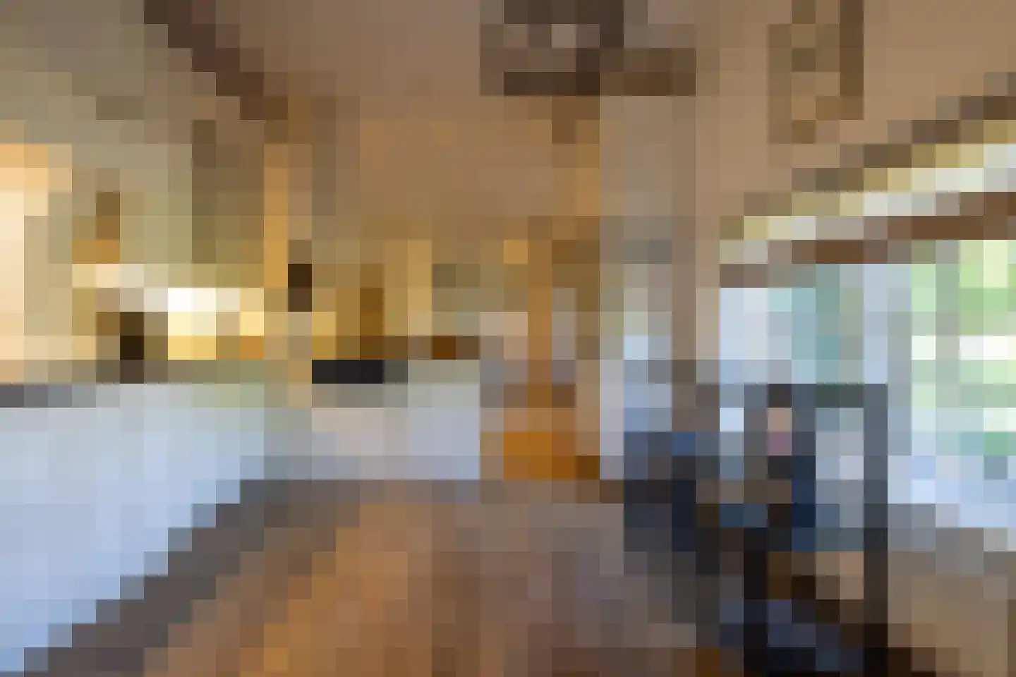 IJsseldijk 222 Krimpen aan den IJssel thumbnail 16