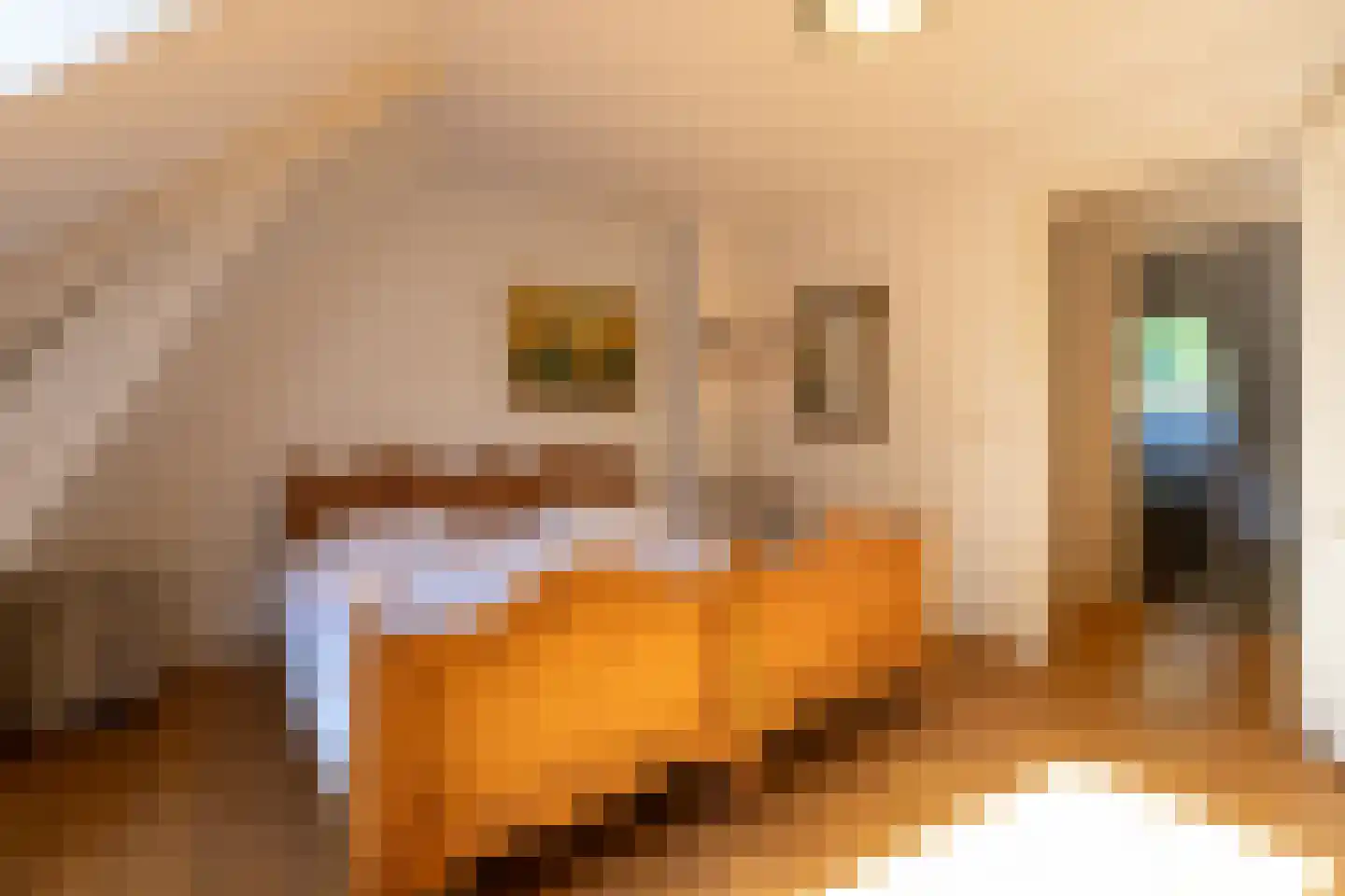 IJsseldijk 222 Krimpen aan den IJssel thumbnail 31