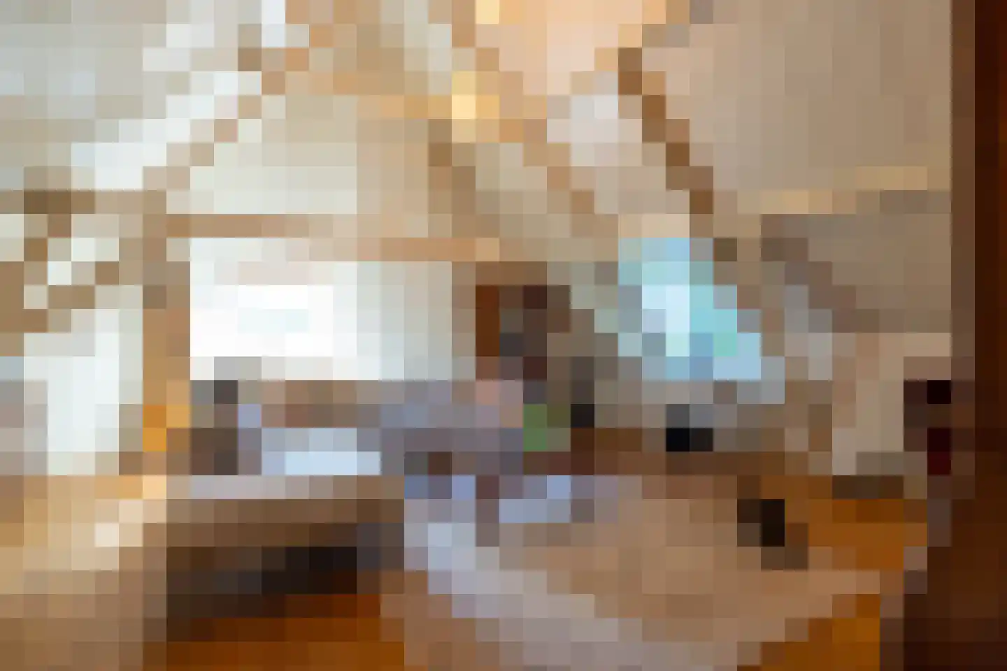 IJsseldijk 222 Krimpen aan den IJssel thumbnail 36