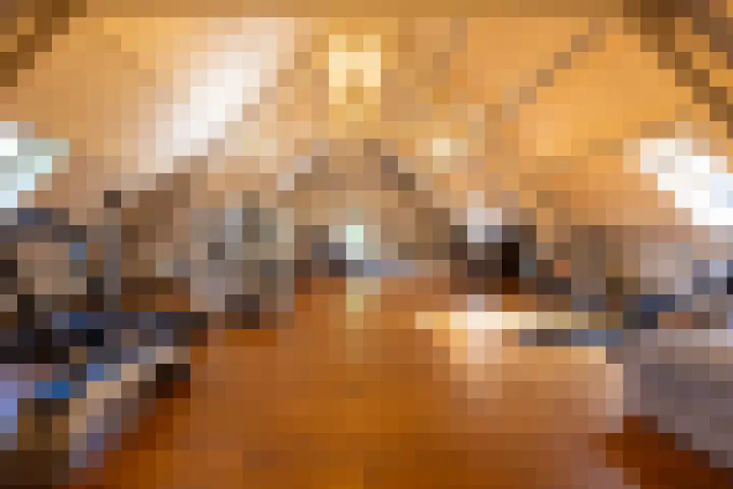 IJsseldijk 222 Krimpen aan den IJssel thumbnail 37