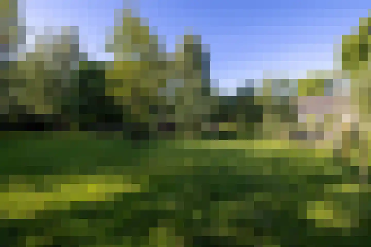 IJsseldijk 222 Krimpen aan den IJssel thumbnail 4