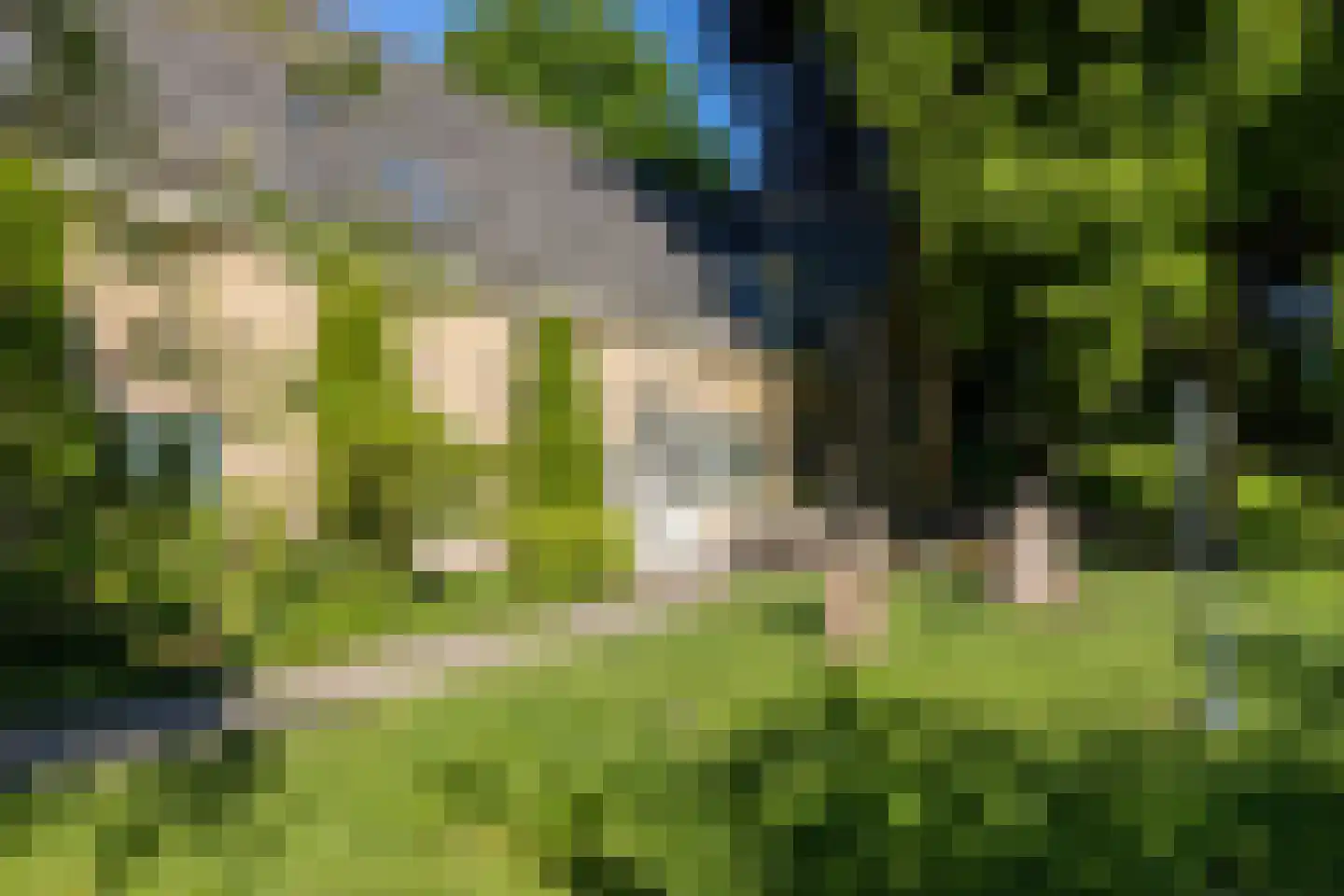 IJsseldijk 222 Krimpen aan den IJssel thumbnail 41