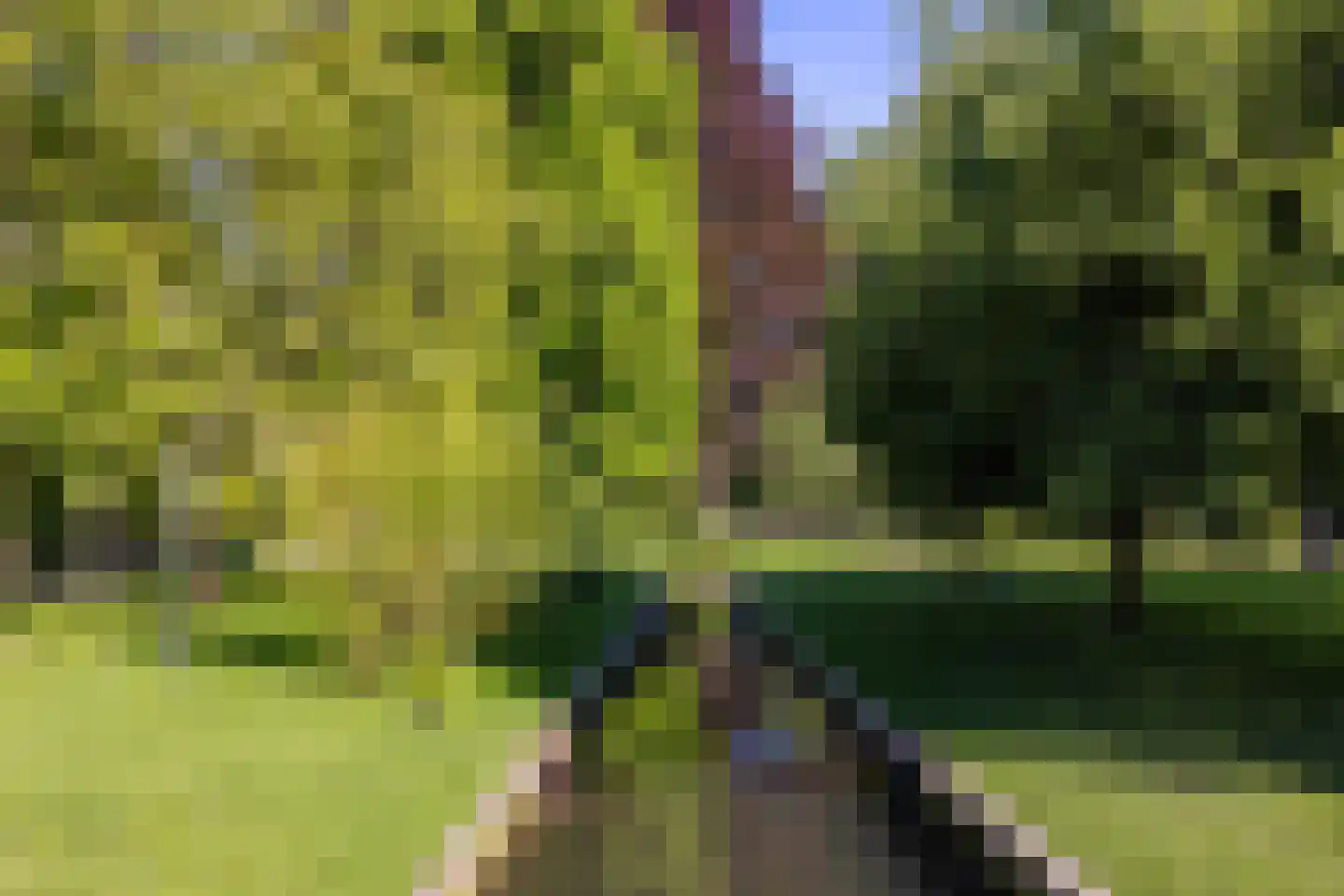 IJsseldijk 222 Krimpen aan den IJssel thumbnail 45