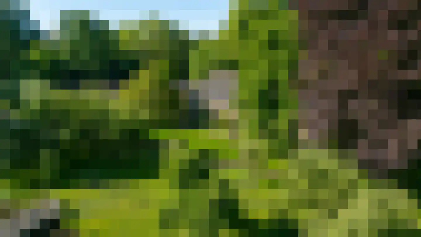 IJsseldijk 222 Krimpen aan den IJssel thumbnail 46