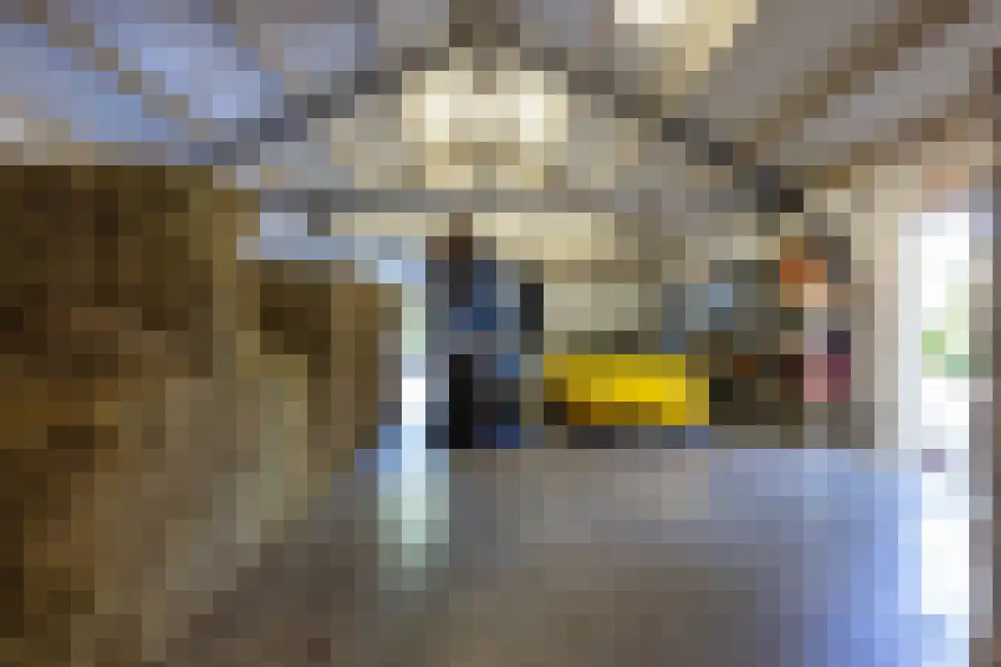 IJsseldijk 222 Krimpen aan den IJssel thumbnail 56