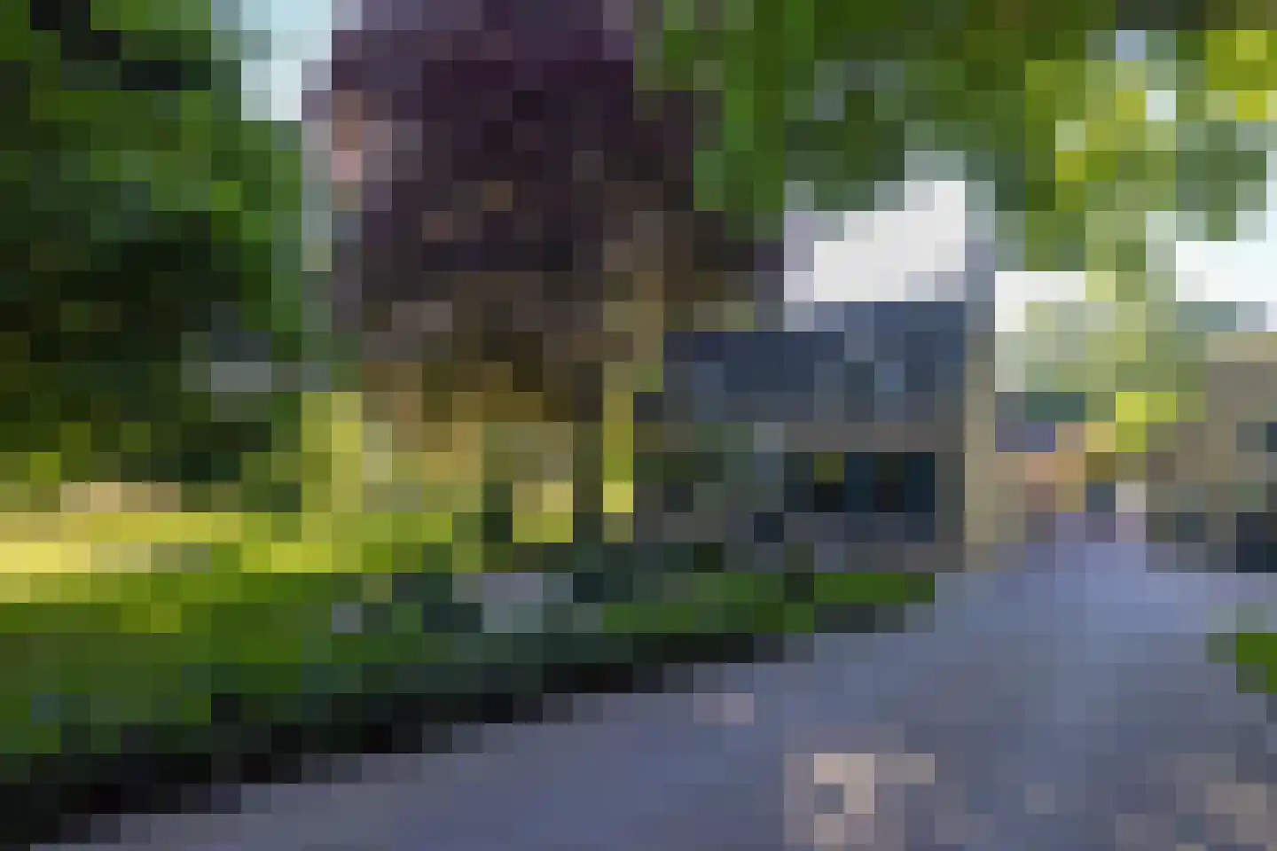 IJsseldijk 222 Krimpen aan den IJssel thumbnail 6
