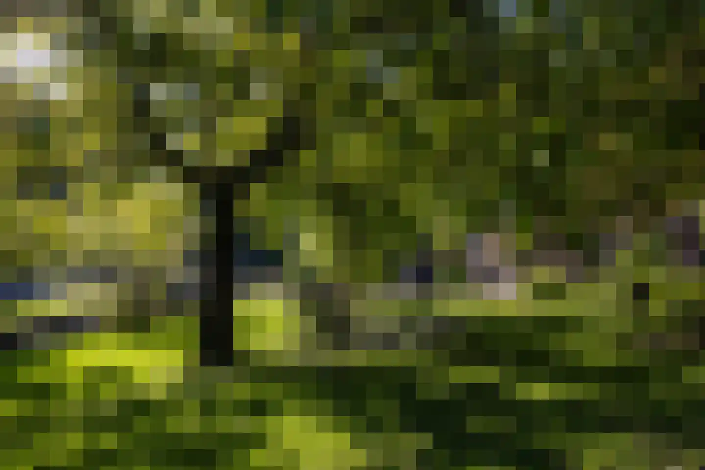IJsseldijk 222 Krimpen aan den IJssel thumbnail 61