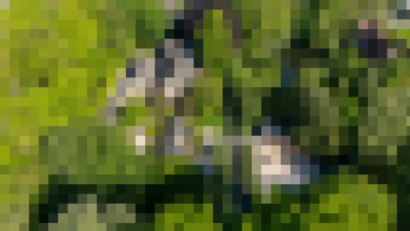 IJsseldijk 222 Krimpen aan den IJssel thumbnail 64