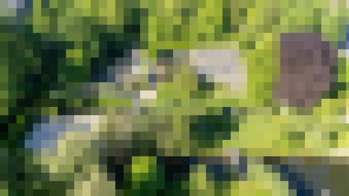 IJsseldijk 222 Krimpen aan den IJssel thumbnail 65