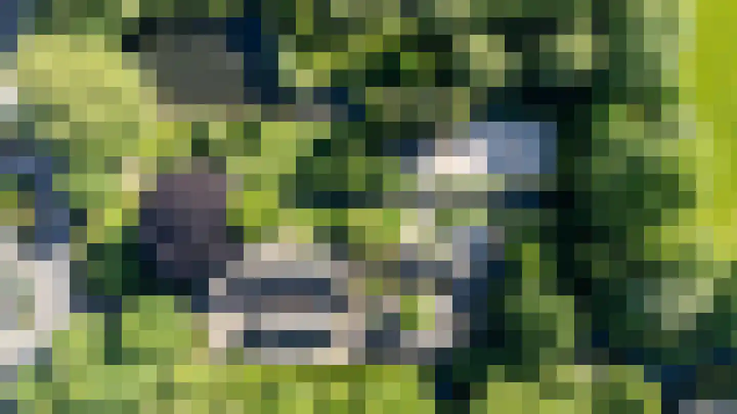 IJsseldijk 222 Krimpen aan den IJssel thumbnail 66
