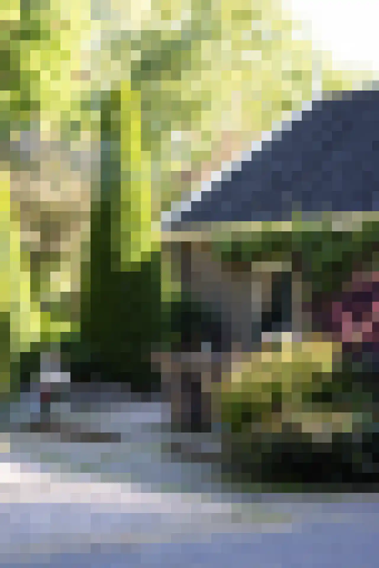 IJsseldijk 222 Krimpen aan den IJssel thumbnail 69