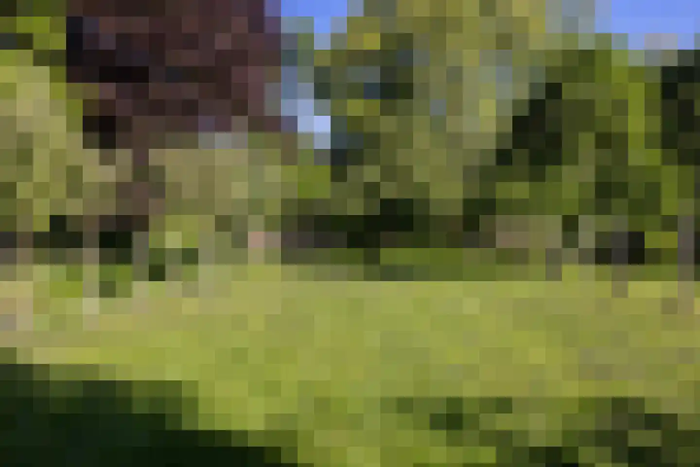IJsseldijk 222 Krimpen aan den IJssel thumbnail 70