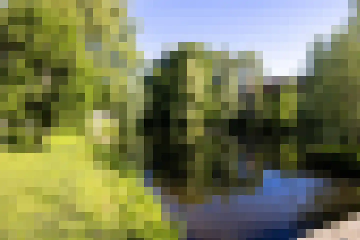 IJsseldijk 222 Krimpen aan den IJssel thumbnail 71