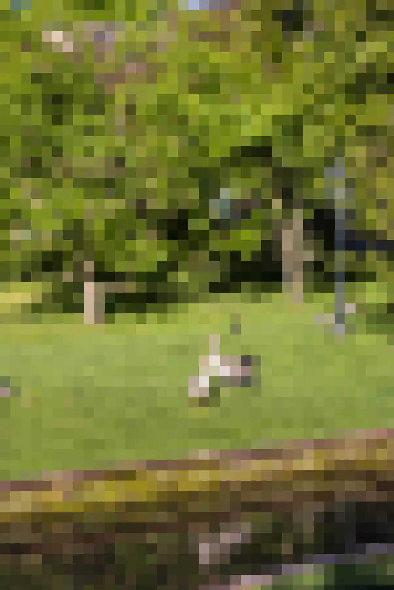 IJsseldijk 222 Krimpen aan den IJssel thumbnail 73