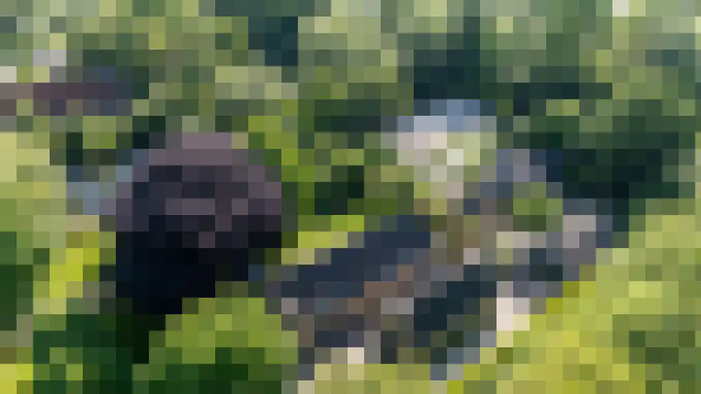 IJsseldijk 222 Krimpen aan den IJssel thumbnail 74