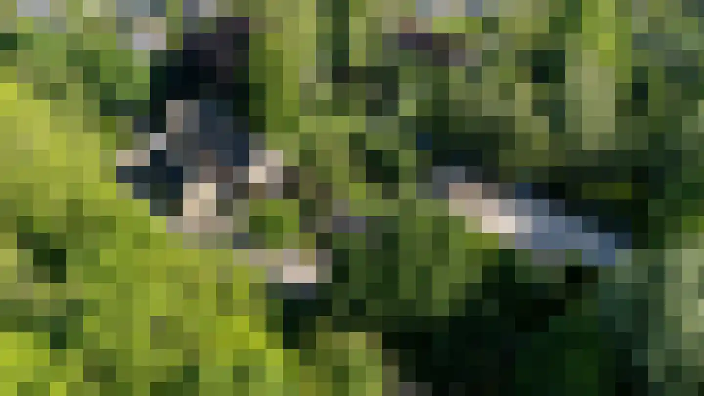 IJsseldijk 222 Krimpen aan den IJssel thumbnail 75