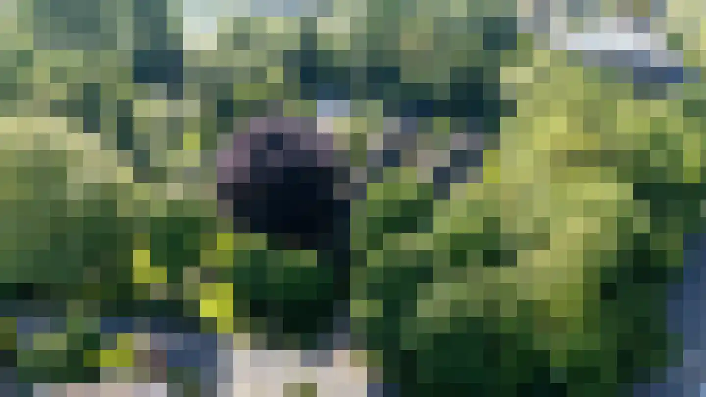 IJsseldijk 222 Krimpen aan den IJssel thumbnail 77