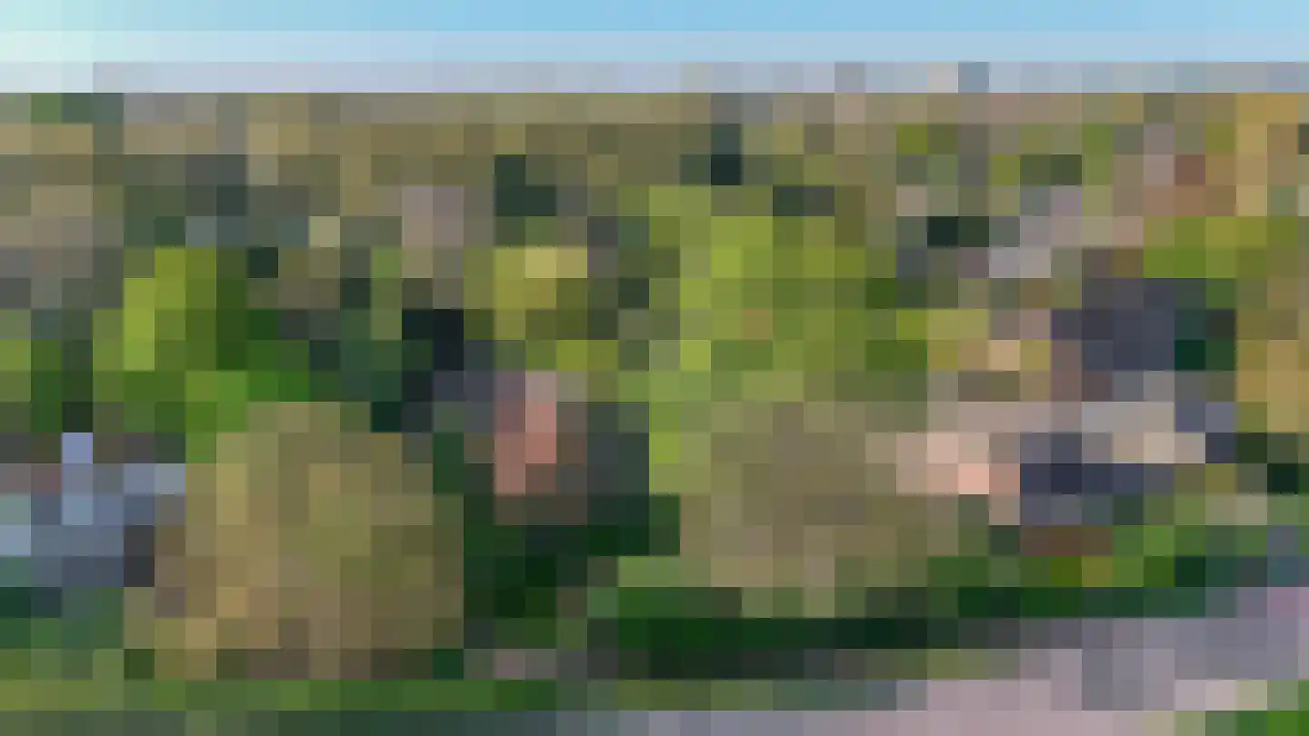 IJsseldijk 238 Krimpen aan den IJssel thumbnail 27