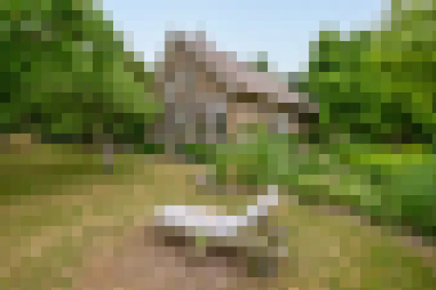 IJsseldijk 238 Krimpen aan den IJssel thumbnail 28