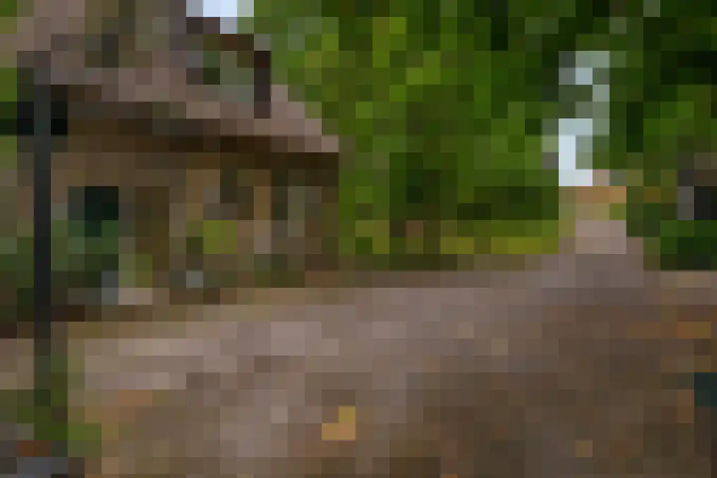 IJsseldijk 238 Krimpen aan den IJssel thumbnail 29