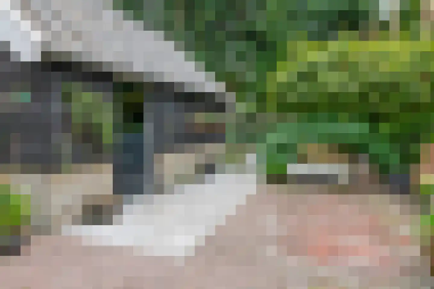 IJsseldijk 238 Krimpen aan den IJssel thumbnail 32