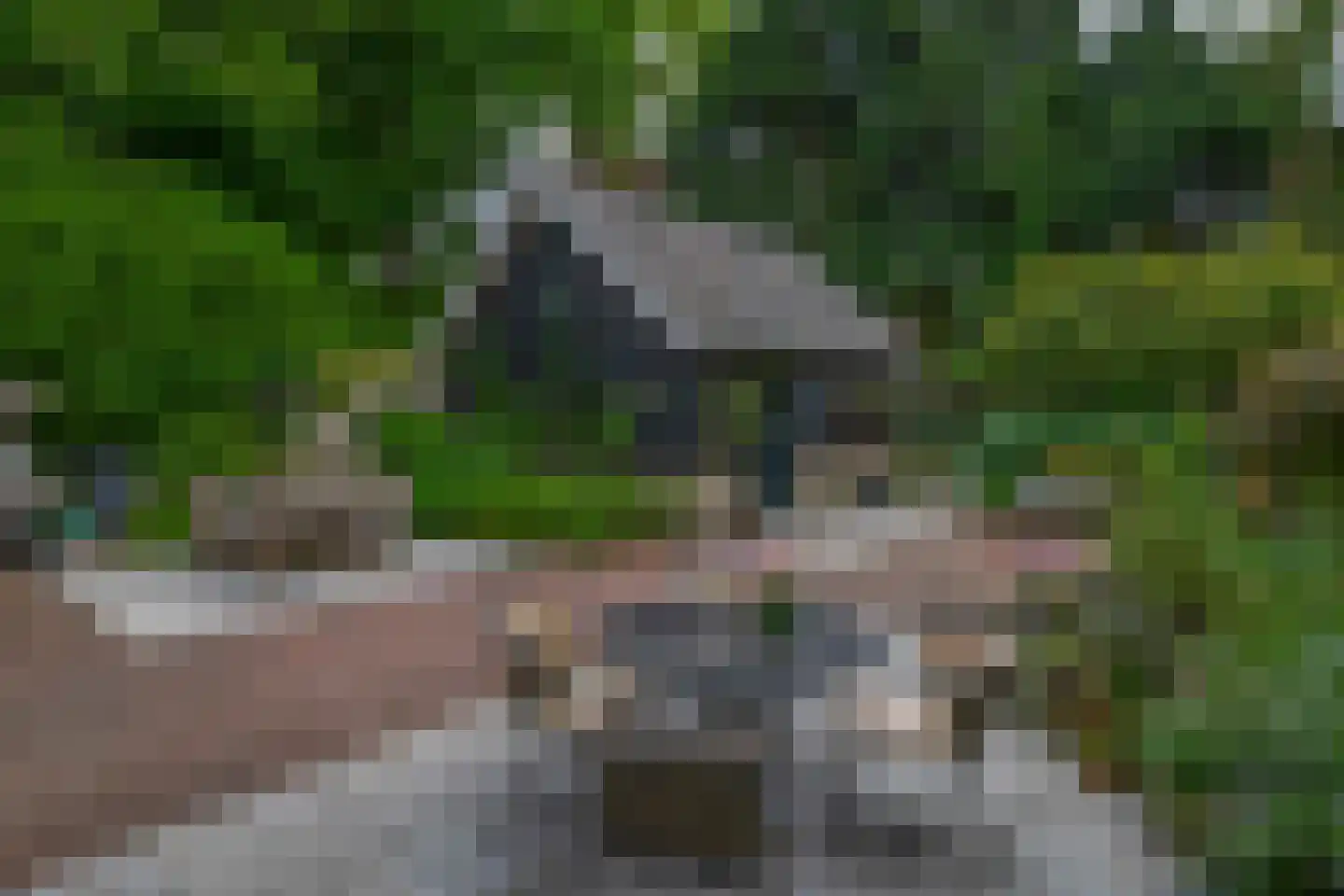 IJsseldijk 238 Krimpen aan den IJssel thumbnail 34