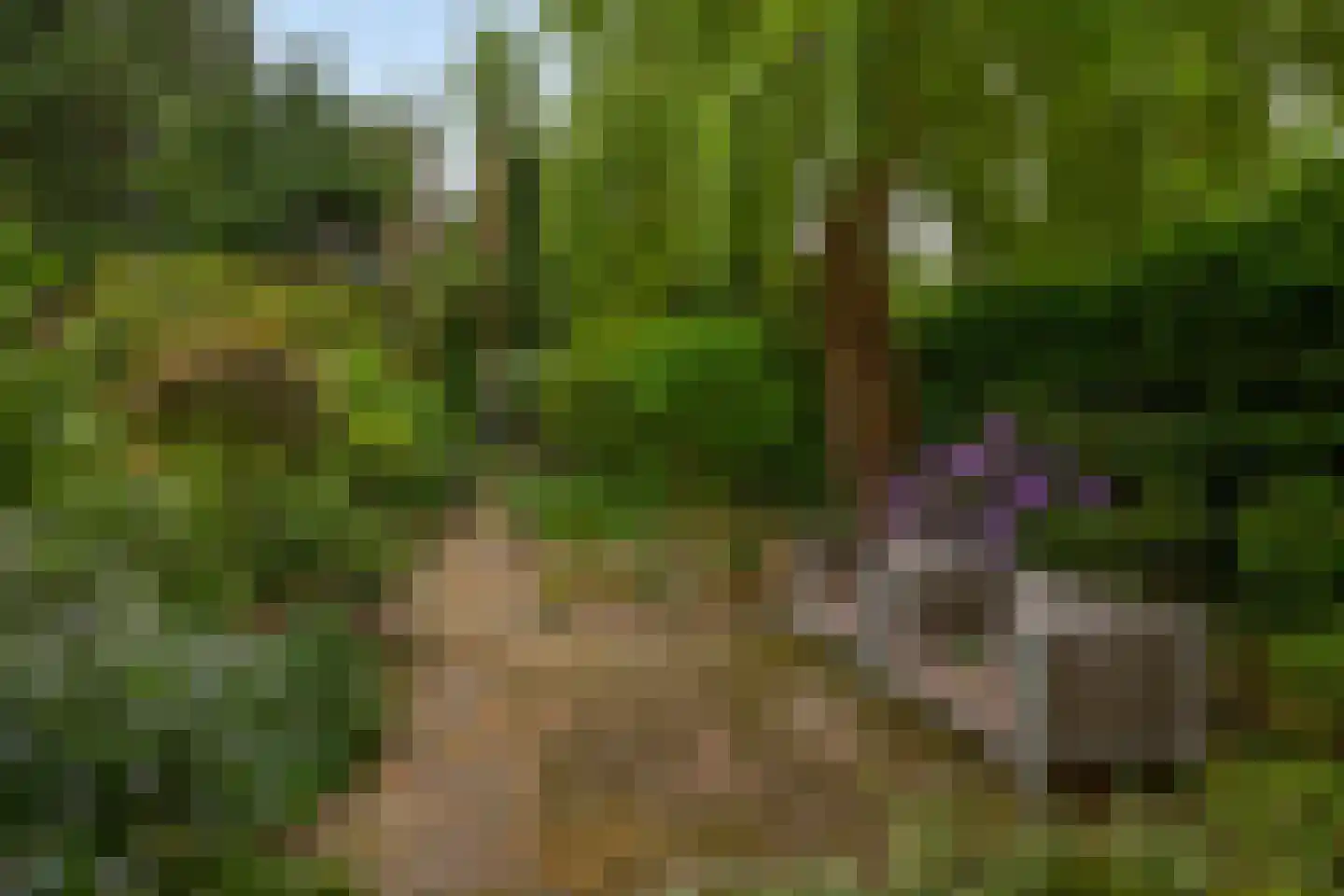 IJsseldijk 238 Krimpen aan den IJssel thumbnail 36