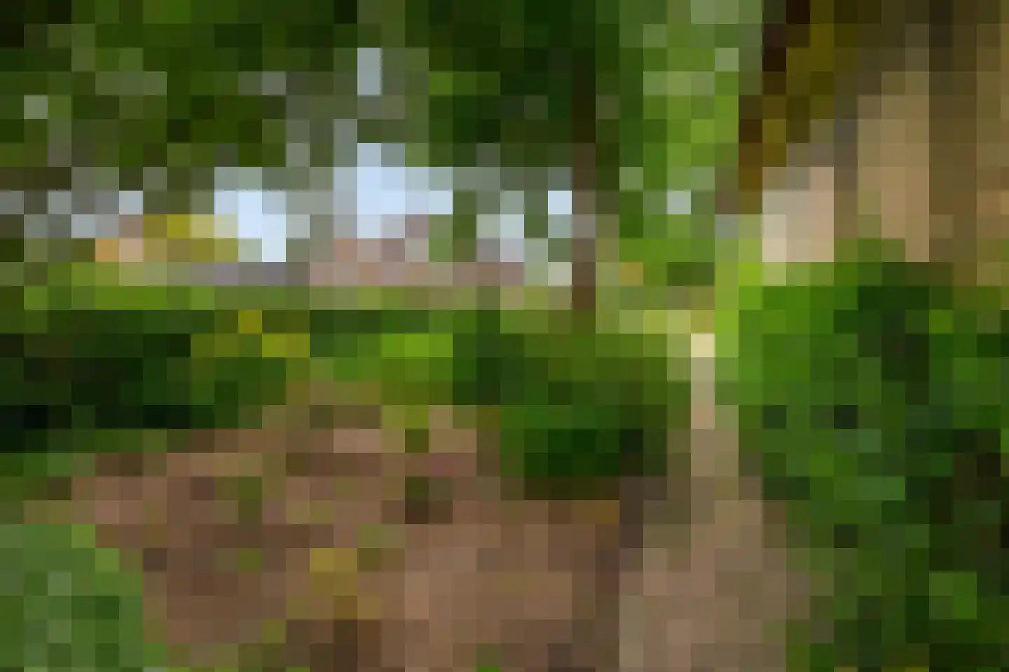 IJsseldijk 238 Krimpen aan den IJssel thumbnail 37