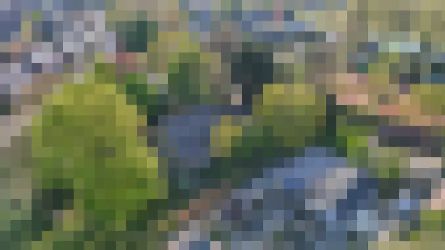 IJsseldijk 238 Krimpen aan den IJssel thumbnail 39
