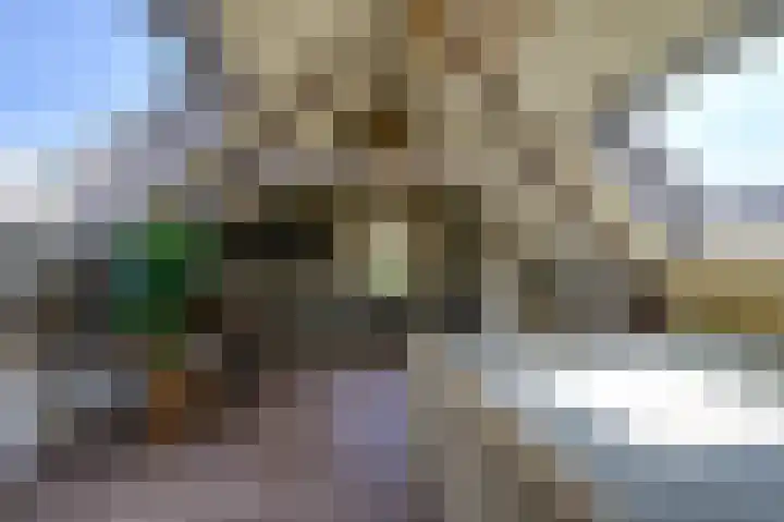 IJsseldijk 326 Krimpen aan den IJssel thumbnail 31