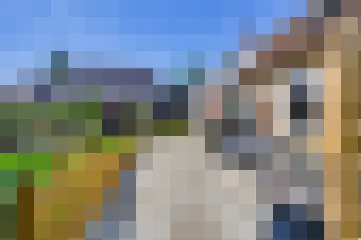 IJsseldijk 326 Krimpen aan den IJssel thumbnail 41