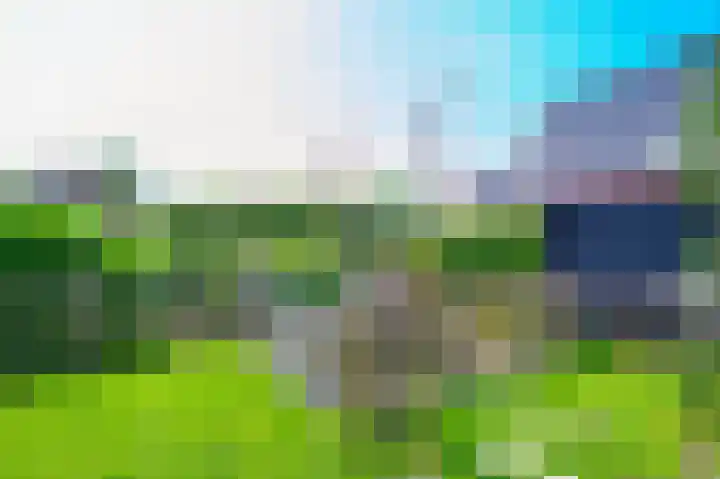 IJsseldijk 326 Krimpen aan den IJssel thumbnail 45