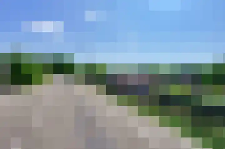 IJsseldijk 326 Krimpen aan den IJssel thumbnail 7