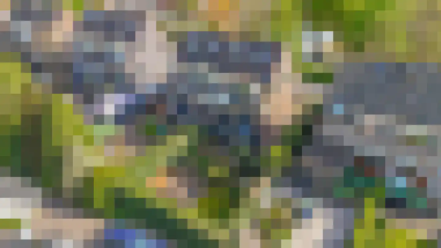 IJsseldijk 327 Krimpen aan den IJssel thumbnail 55