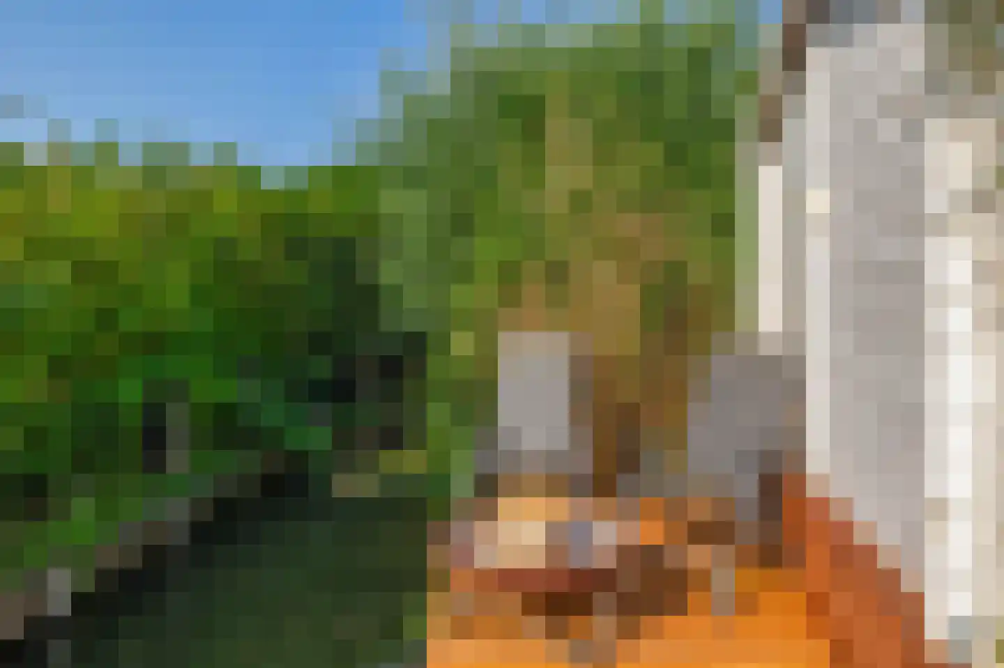 IJsseldijk 336 Krimpen aan den IJssel thumbnail 28
