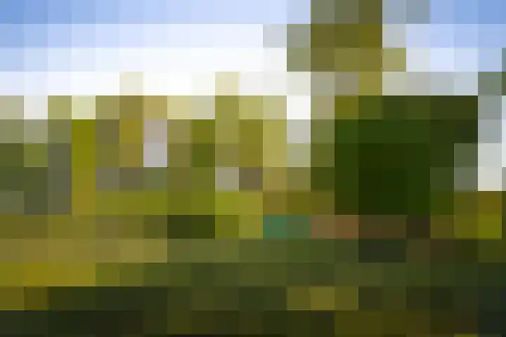IJsseldijk 34 Diepenveen thumbnail 13