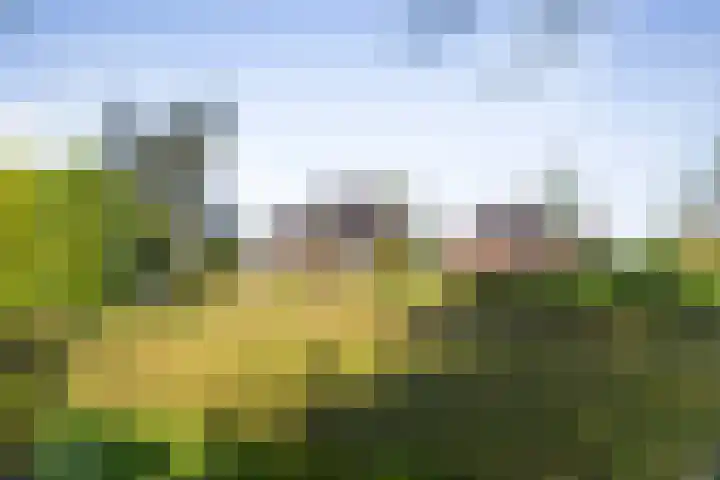 IJsseldijk 34 Diepenveen thumbnail 14